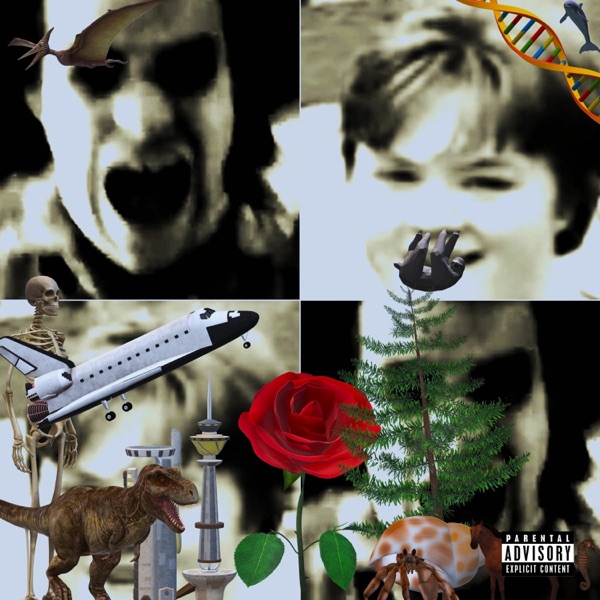 The Obnoxious Album album cover