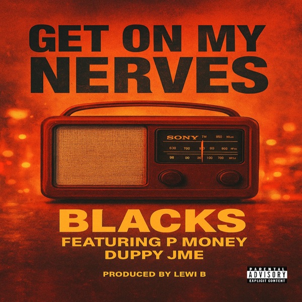 Get on My Nerves (feat. Duppy, P Money & Jme) - Single album cover