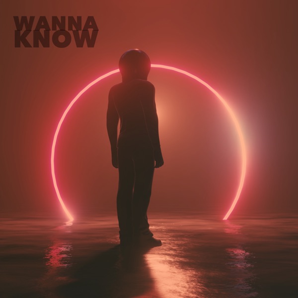 Wanna Know - Single album cover