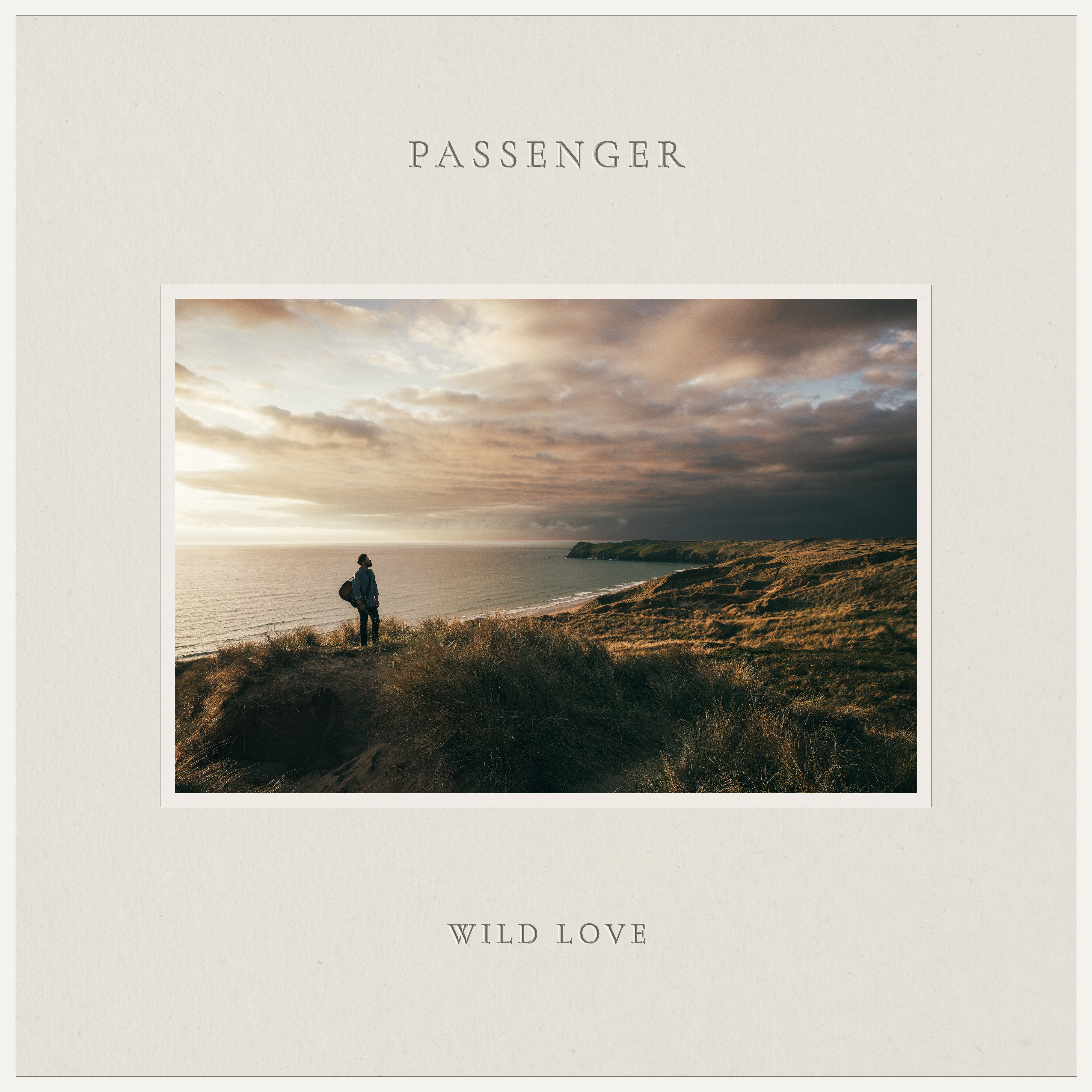 Wild Love album cover