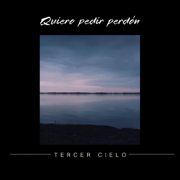 Quiero Pedir Perdón - Single album cover