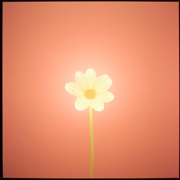 Quand je t'ai vu - Single album cover