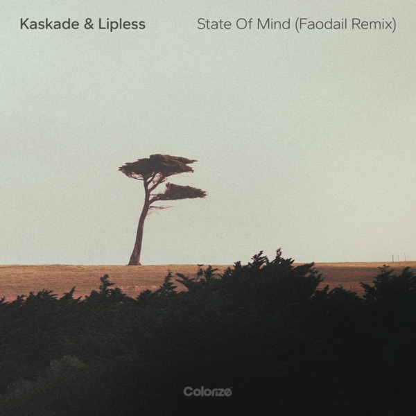 State of Mind (Faodail Remix) [feat. Kaskade] - Single album cover
