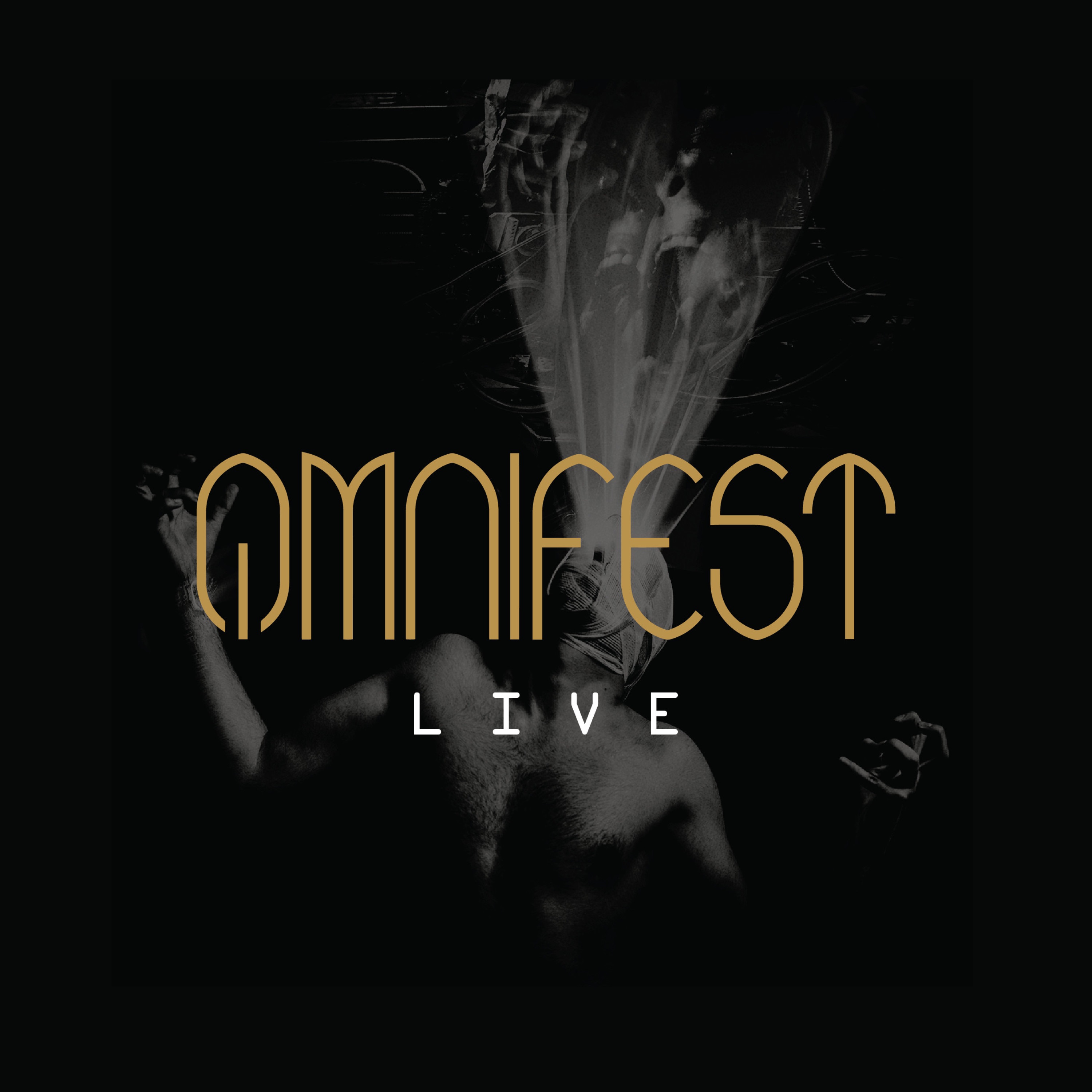 OMNIFEST (Live) album cover