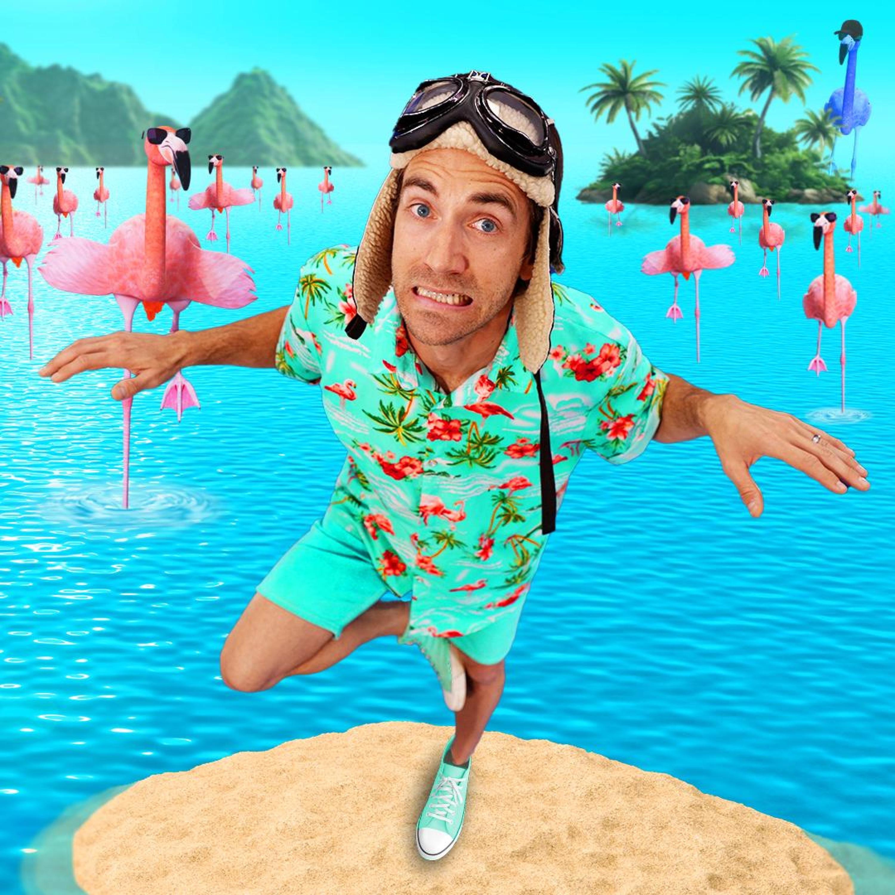 Flamingo Frenzy! - Single album cover