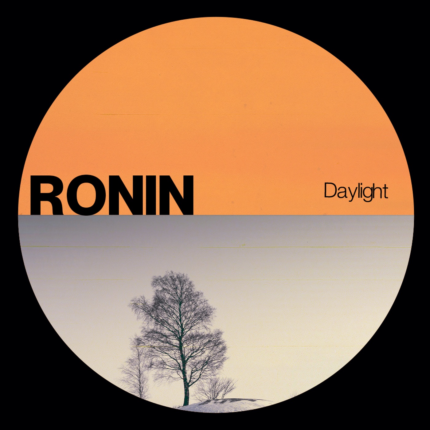 Daylight - Single album cover