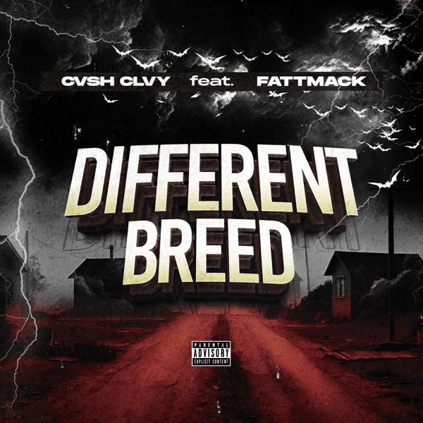 Different Breed (feat. FattMack) - Single album cover