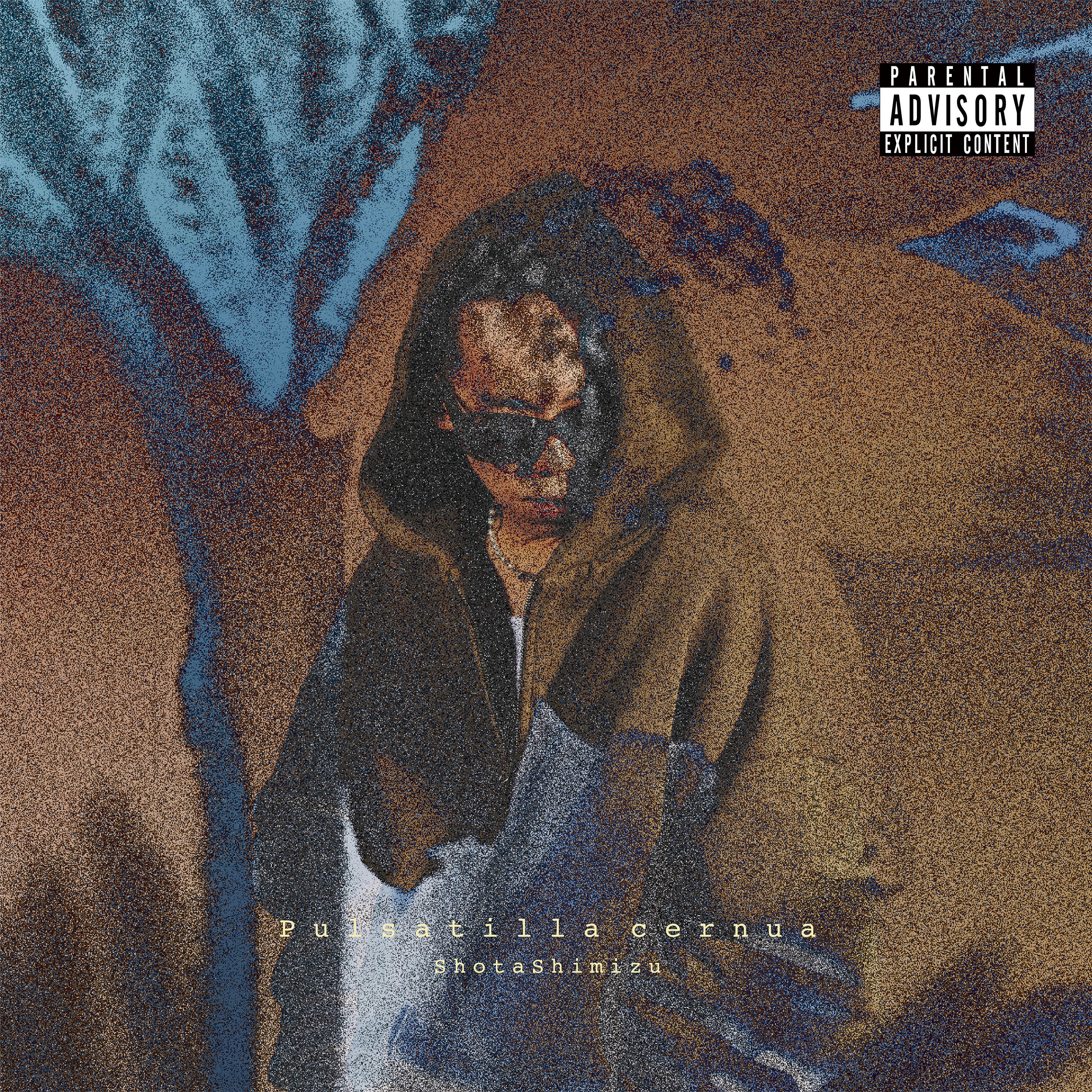 Pulsatilla cernua album cover