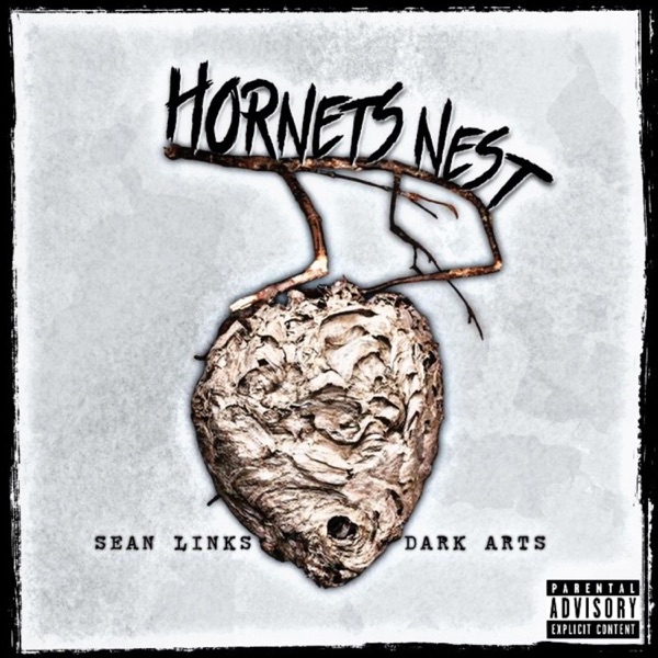 Hornets Nest - Single album cover