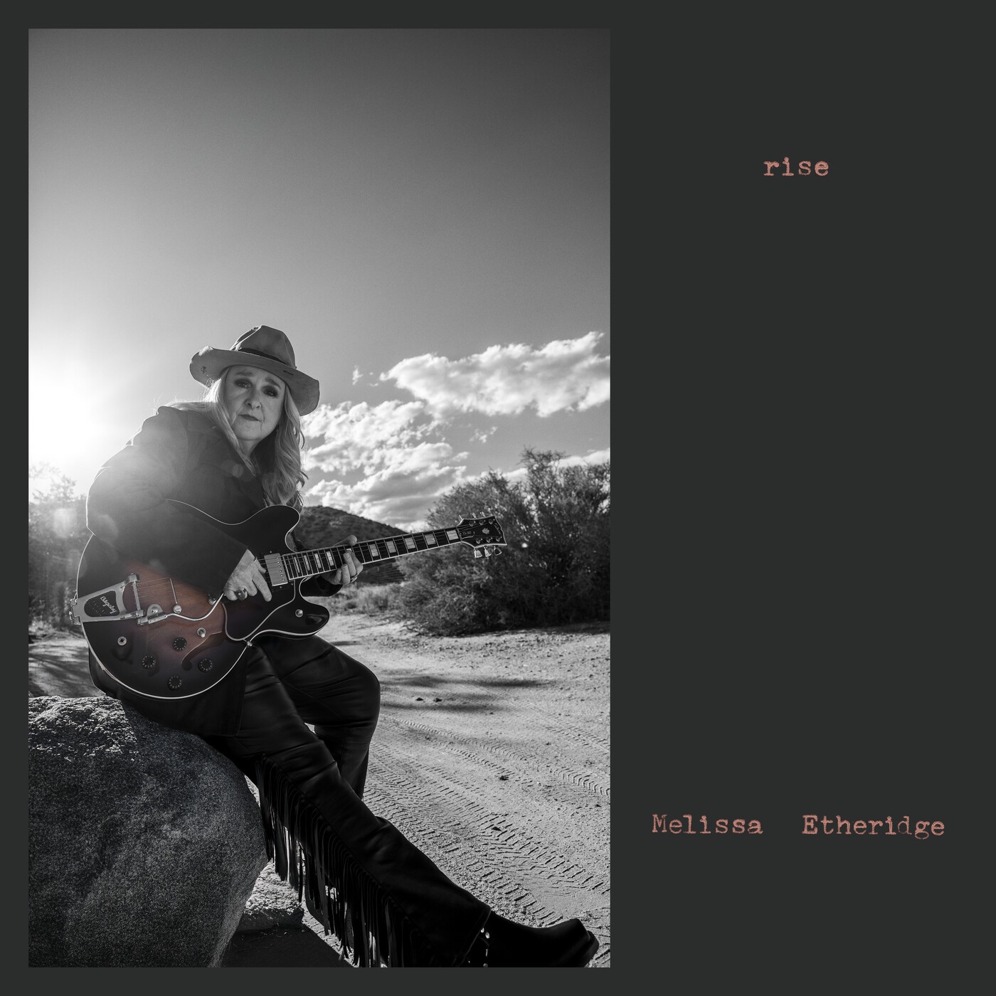 Rise album cover