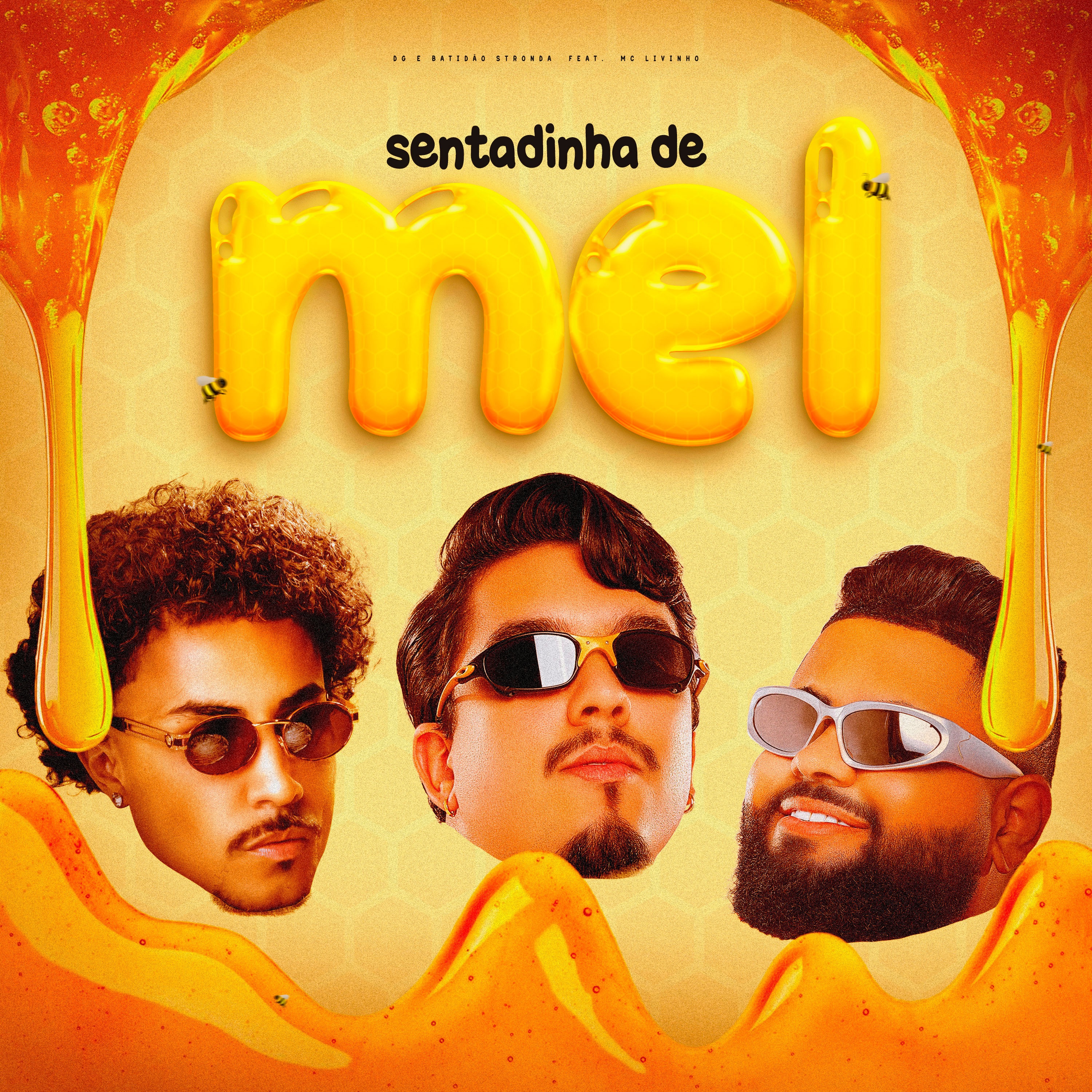 Sentadinha de Mel (feat. Mc Livinho) - Single album cover