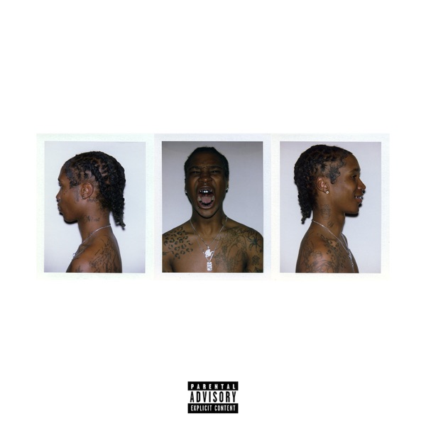 EMOTIONS album cover