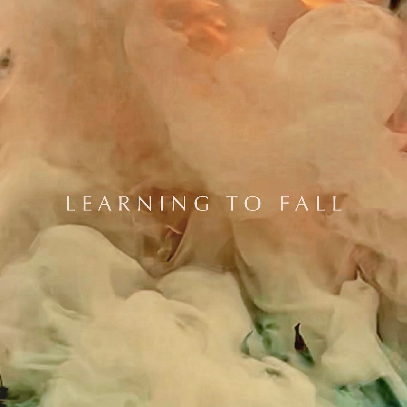 Learning to Fall - Single album cover