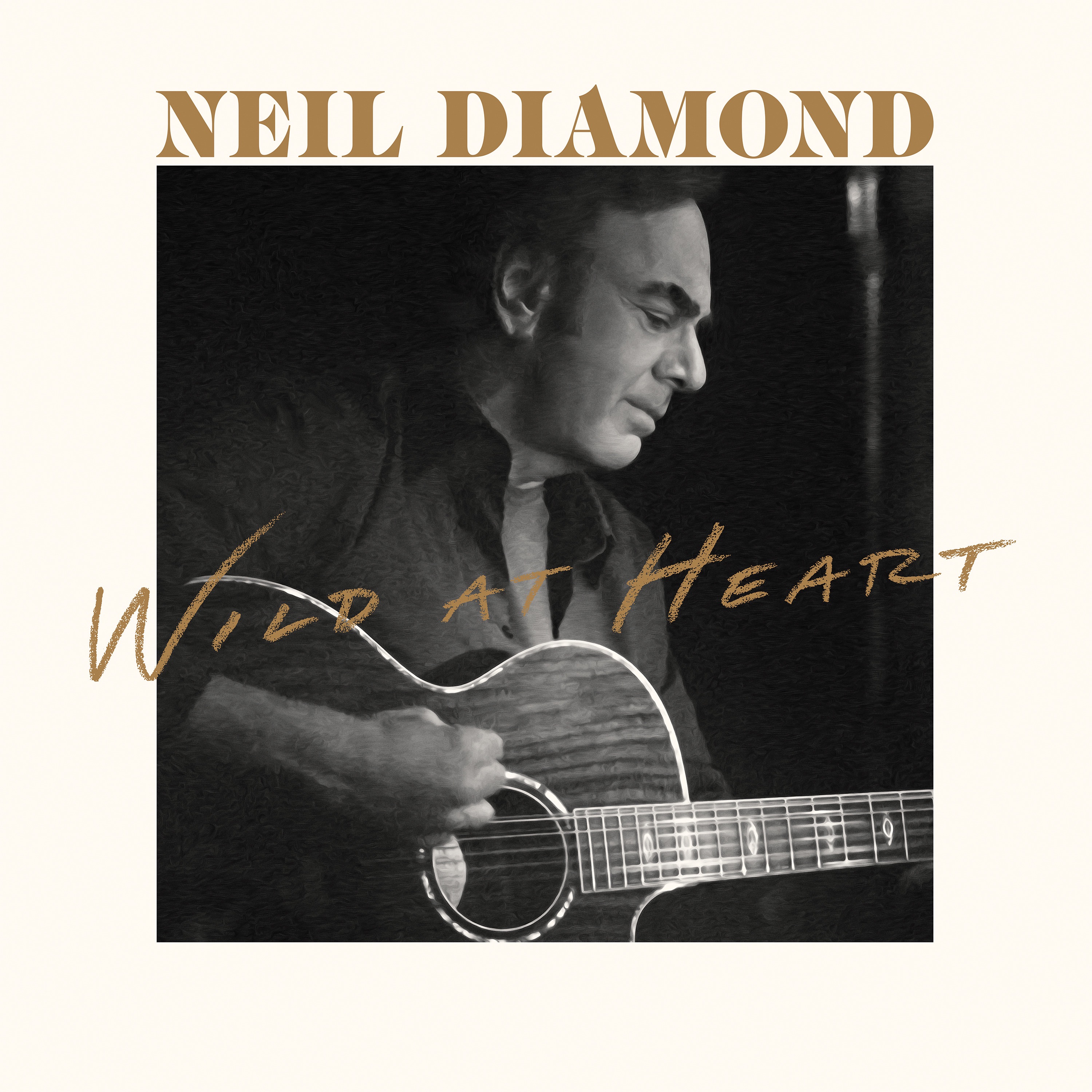 Wild At Heart album cover