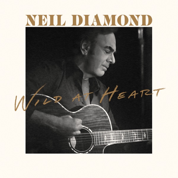 Wild At Heart album cover