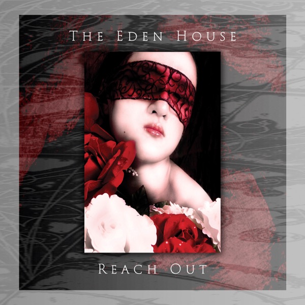 Reach Out (single version) [feat. Evi Vine] - Single album cover