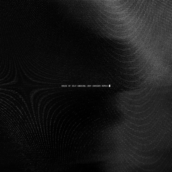 House Of Self-Undoing (Boy Harsher remix) - Single album cover