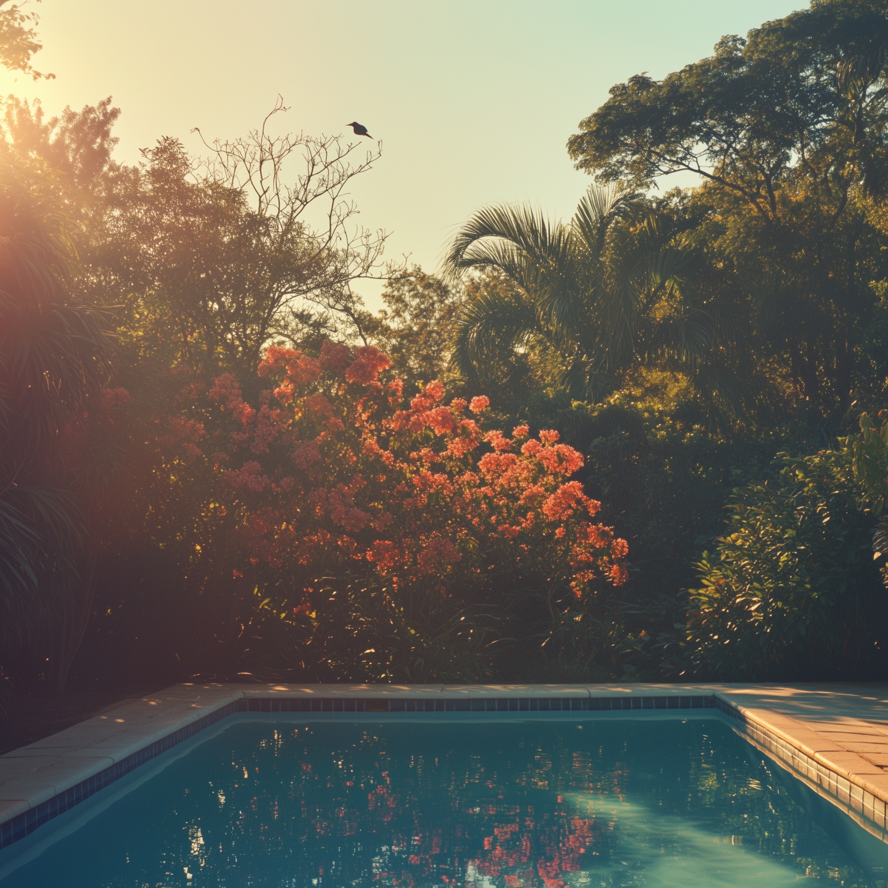 poolside - Single album cover