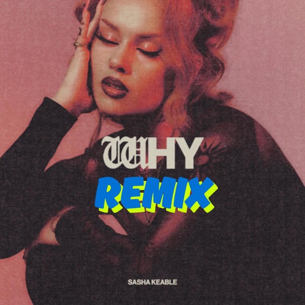 WHY (feat. Sasha Keable) [Remix] - Single album cover