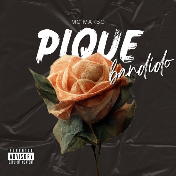 PIQUE BANDIDO (feat. RatBoy) - Single album cover
