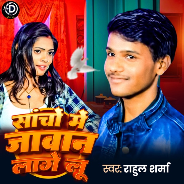 Sacho Mein Jaavaan Laage Loo - Single album cover