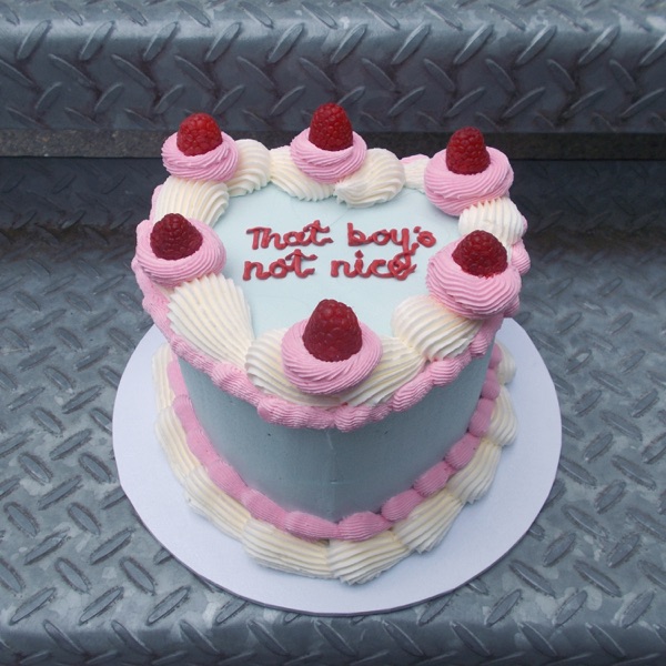 That Boy's Not Nice - Single album cover