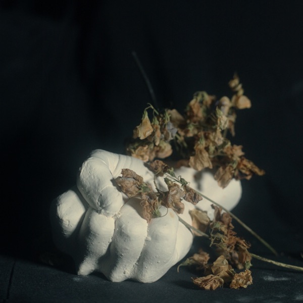 Dead Meat (feat. Birds in Row & Quentin Sauvé) - Single album cover