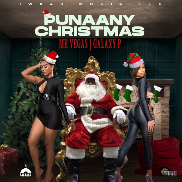 Punaany Christmas - Single album cover