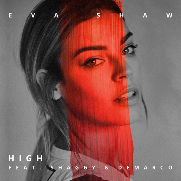 High (feat. Shaggy & Demarco) - Single album cover