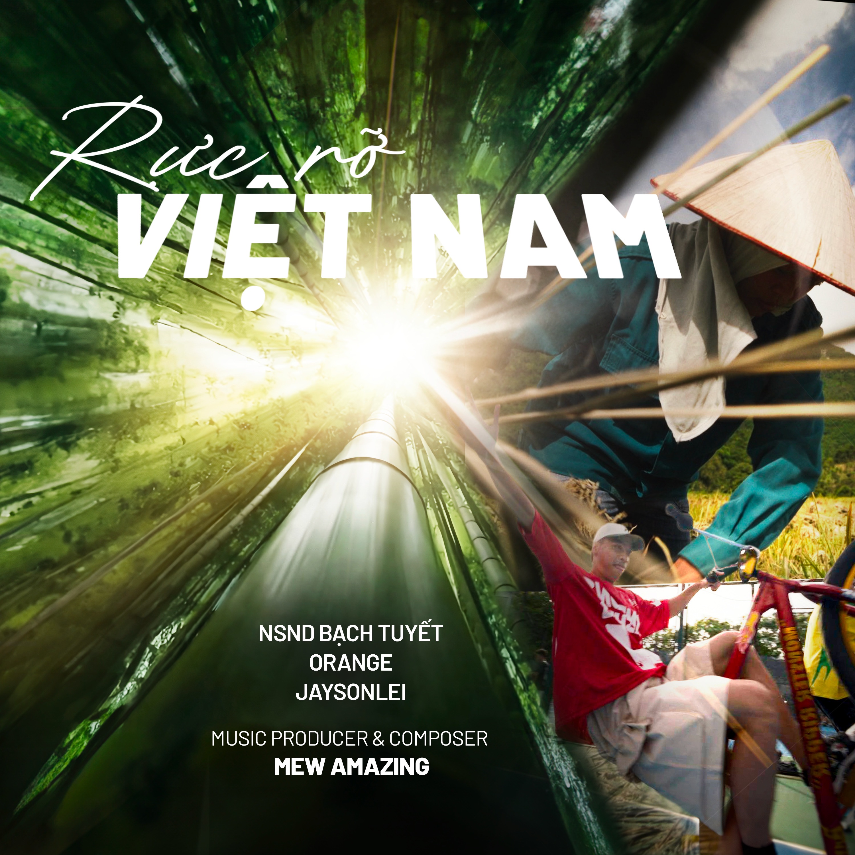 Rực Rỡ Việt Nam - Single album cover