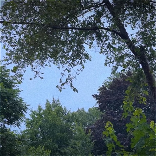 Mysteries of Adolescence - Single album cover
