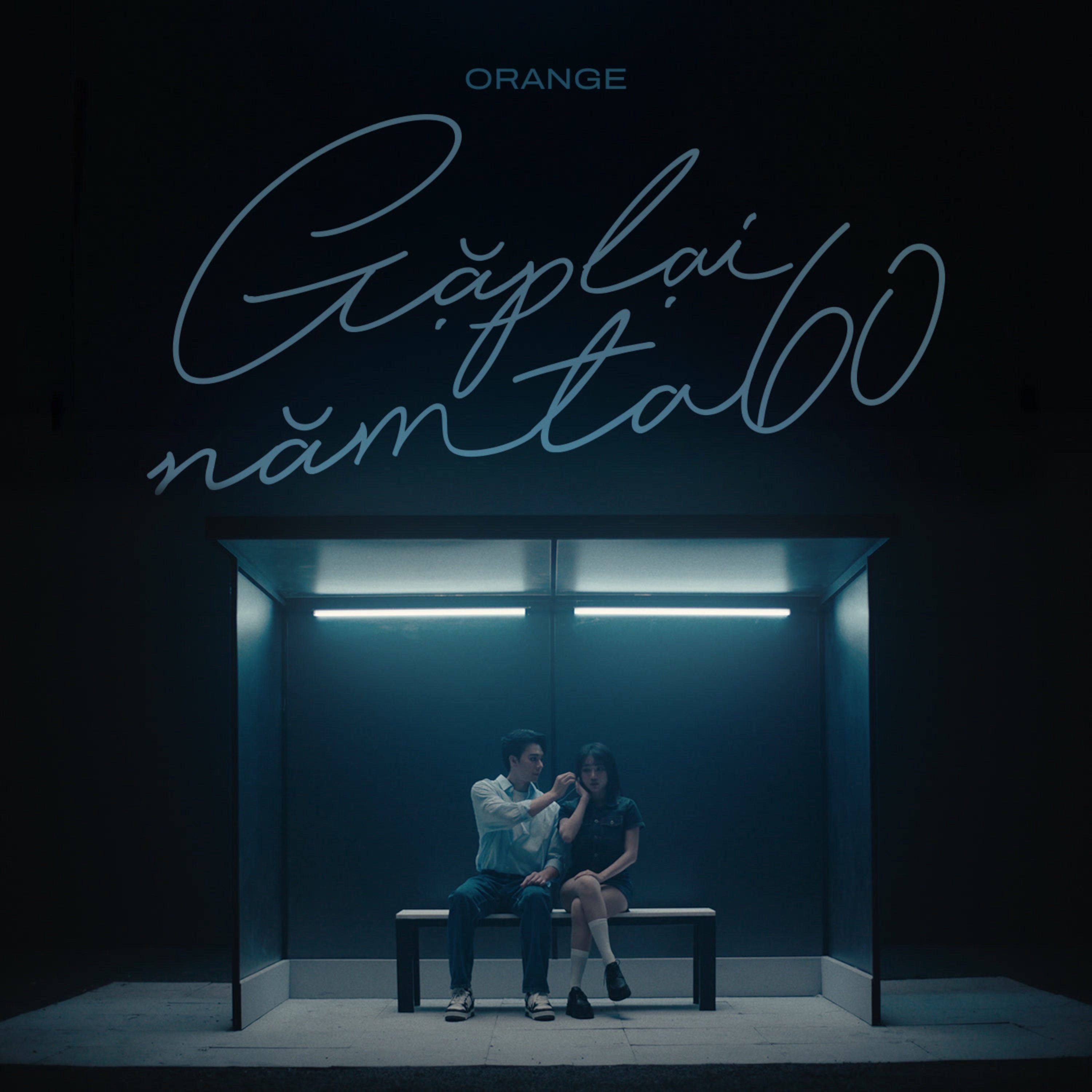 Gặp Lại Năm Ta 60 - Single album cover
