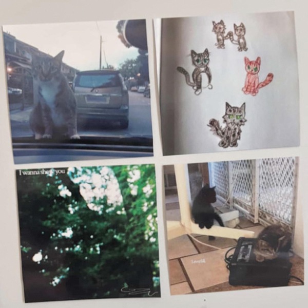 Connected album cover