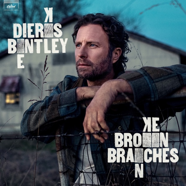 Broken Branches album cover