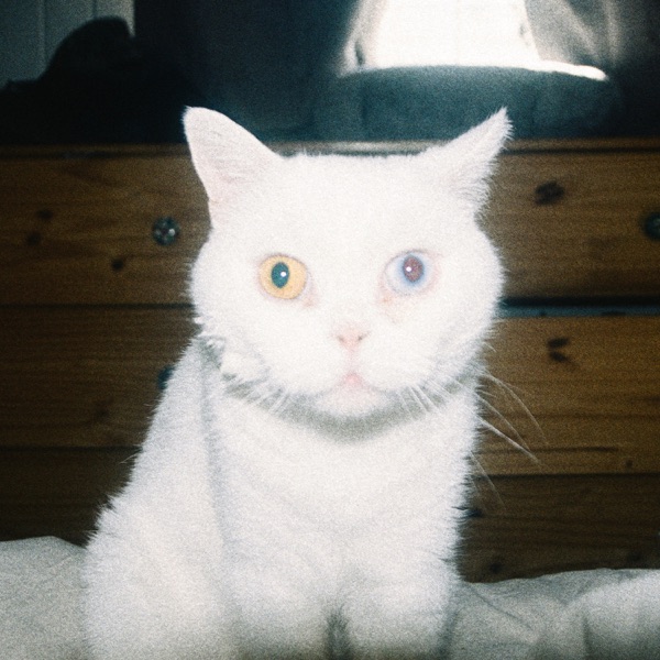 Can You See It? - Single album cover