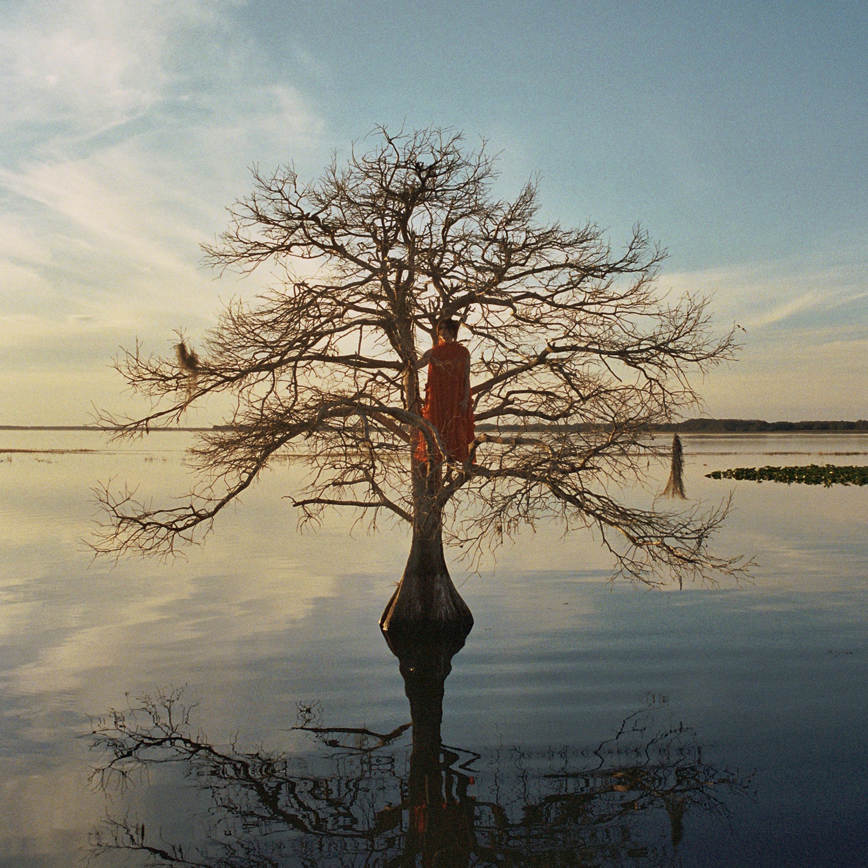 The Eldest Daughter (Deluxe Edition) album cover