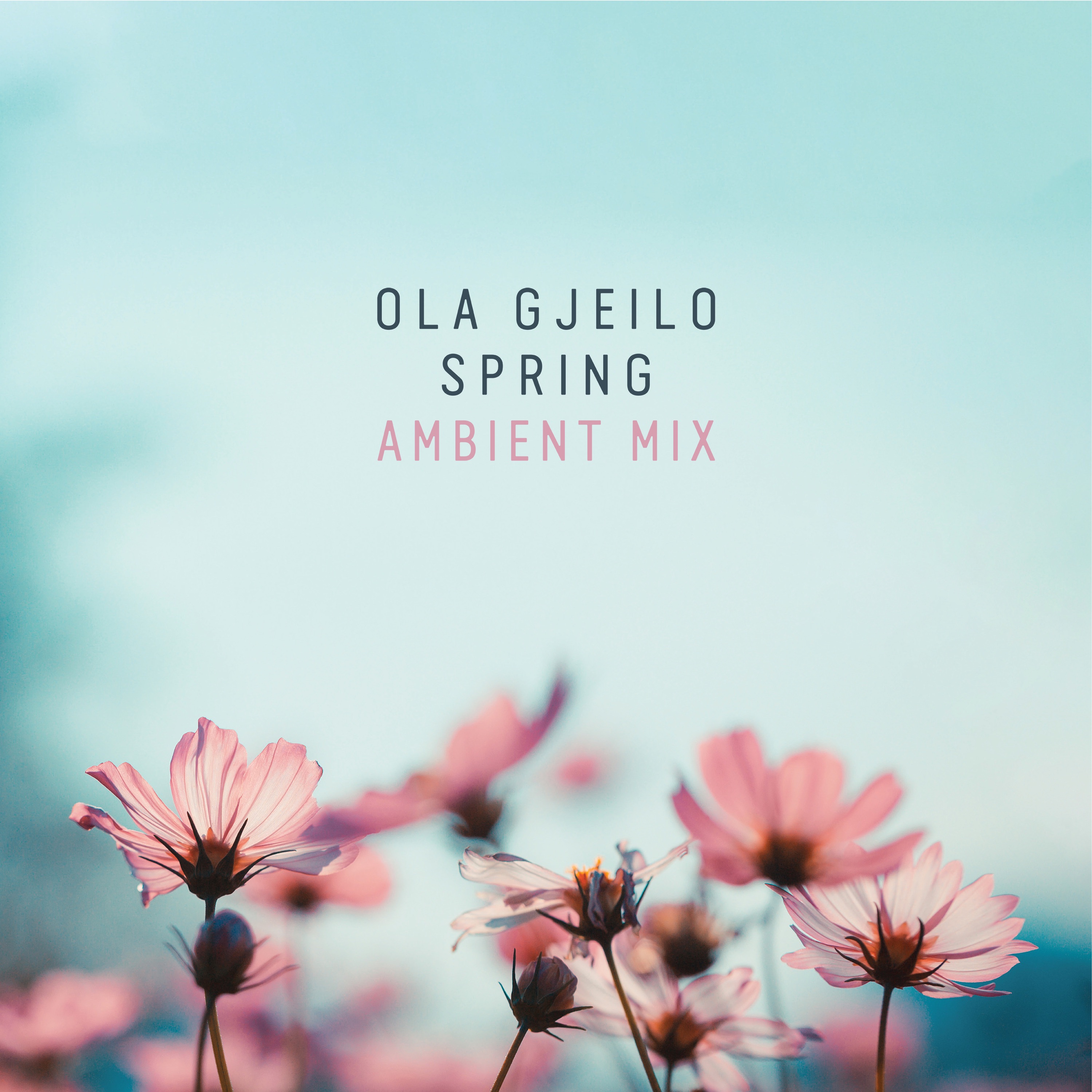 Spring (Ambient Mix) - Single album cover