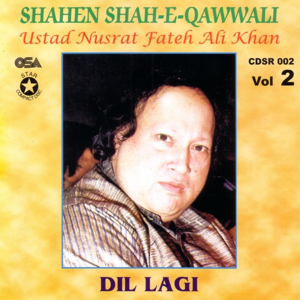 Dillagi, Vol. 2 album cover