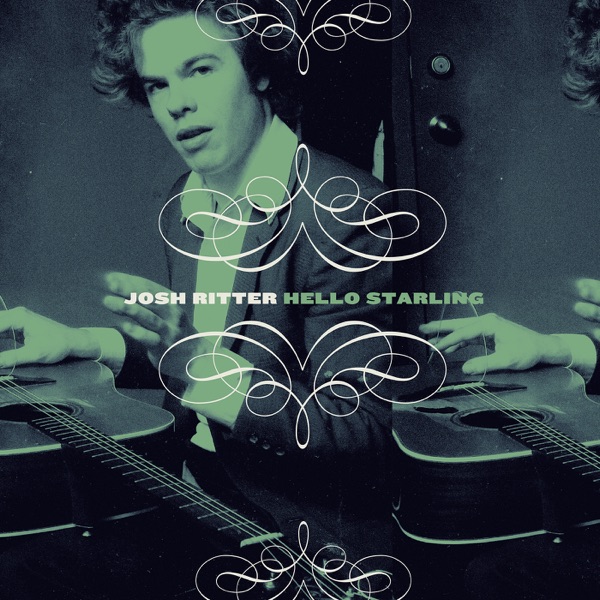 Hello Starling album cover