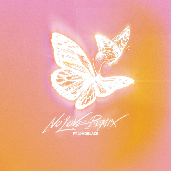 NO LOVE (Remix) - Single album cover