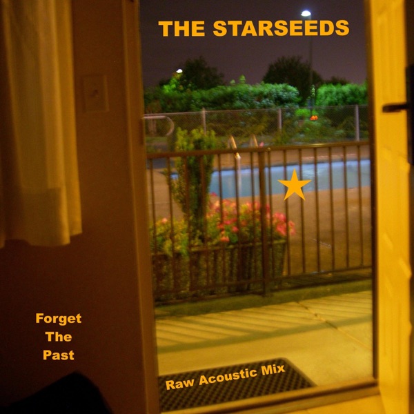 Forget The Past (Raw Acoustic Mix) - Single album cover