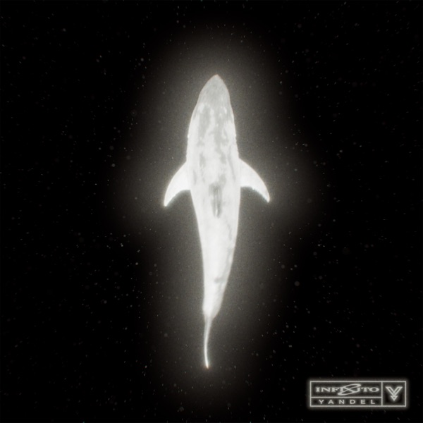 Infinito album cover