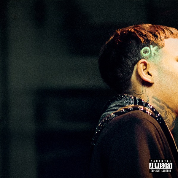 OK! OK! - Single album cover