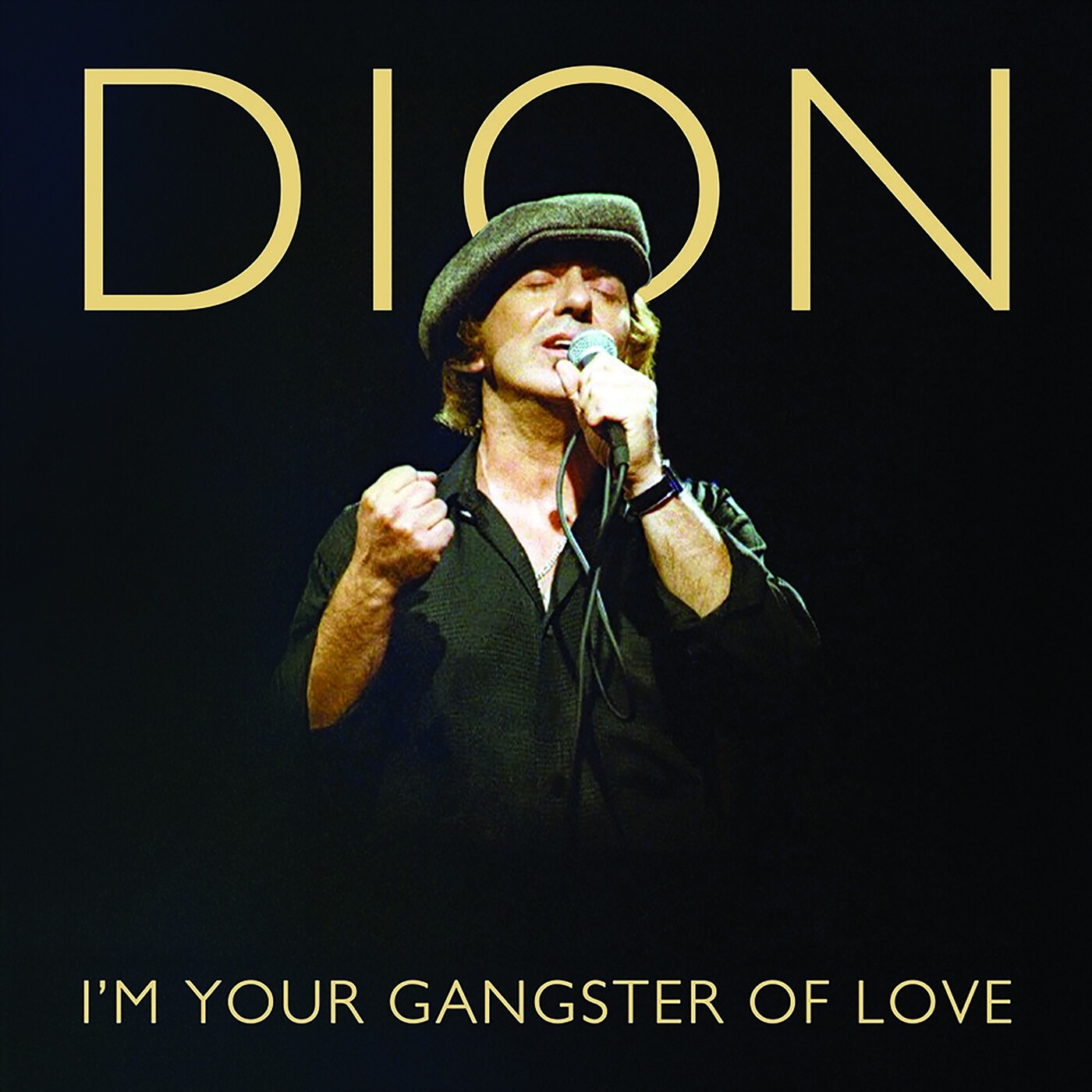I'm Your Gangster Of Love - Single album cover