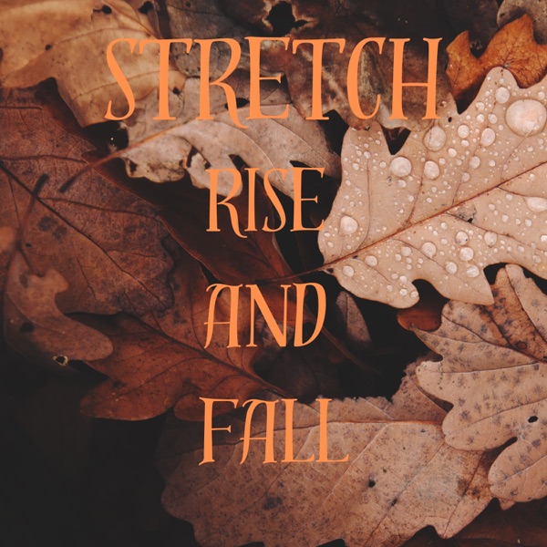 RISE AND FALL - Single album cover