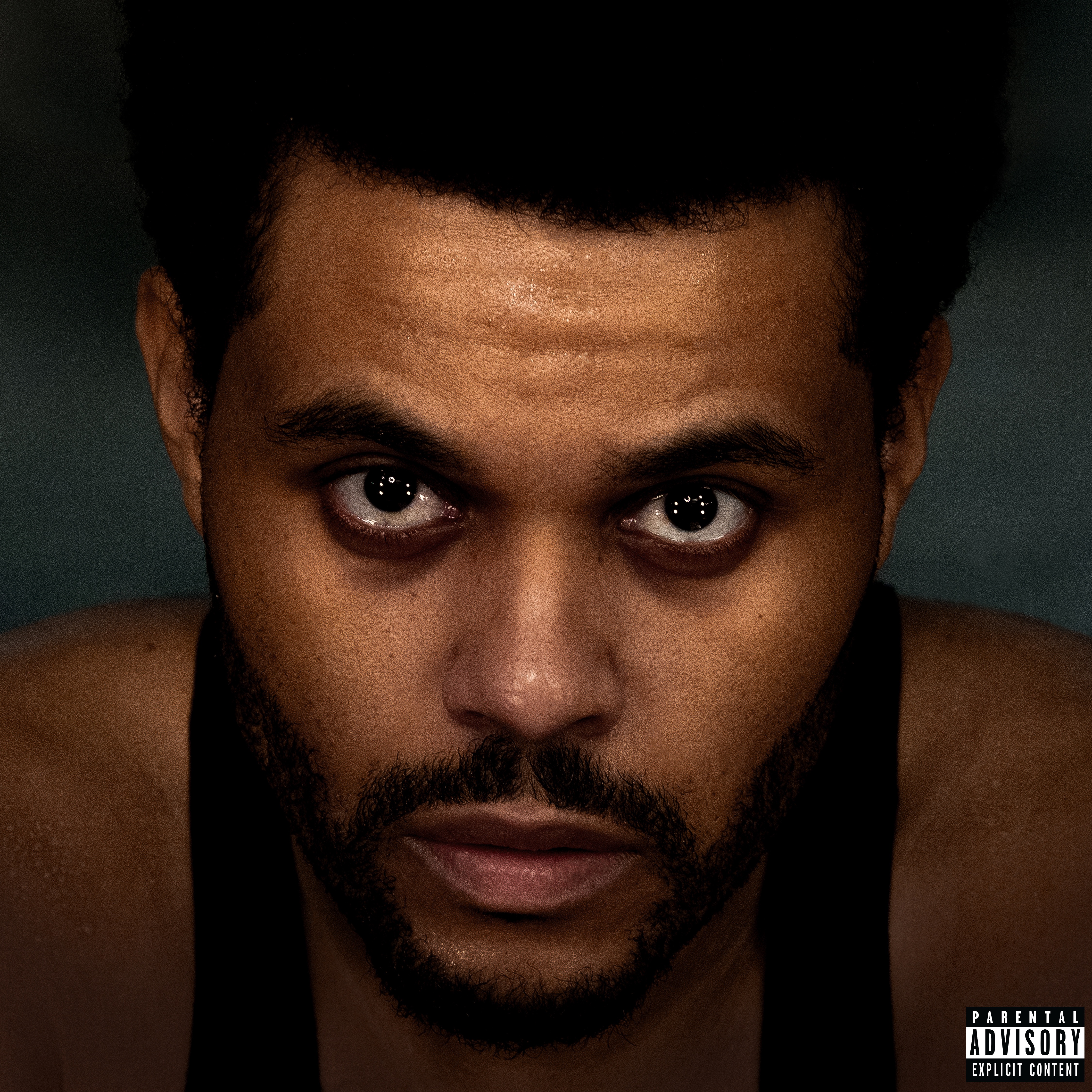 Hurry Up Tomorrow (Video Album) album cover
