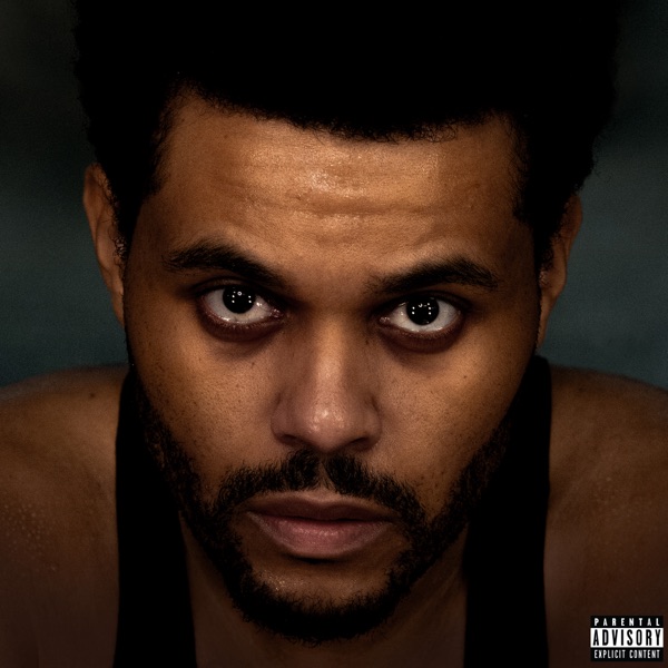 Hurry Up Tomorrow (Video Album) album cover