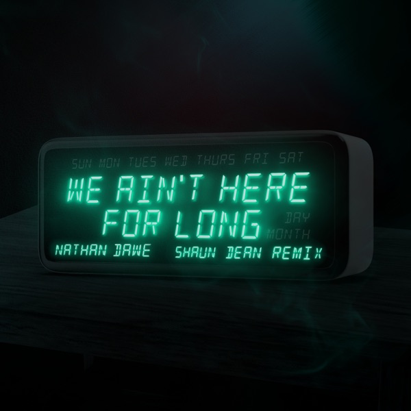 We Ain't Here For Long (Shaun Dean Remix) [Extended Mix] - Single album cover