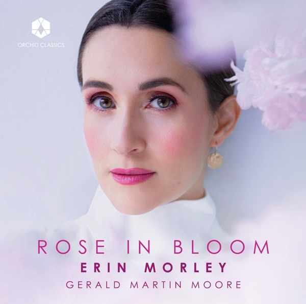 Rose in Bloom album cover