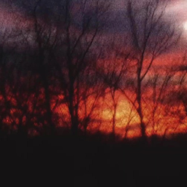 withered - Single album cover